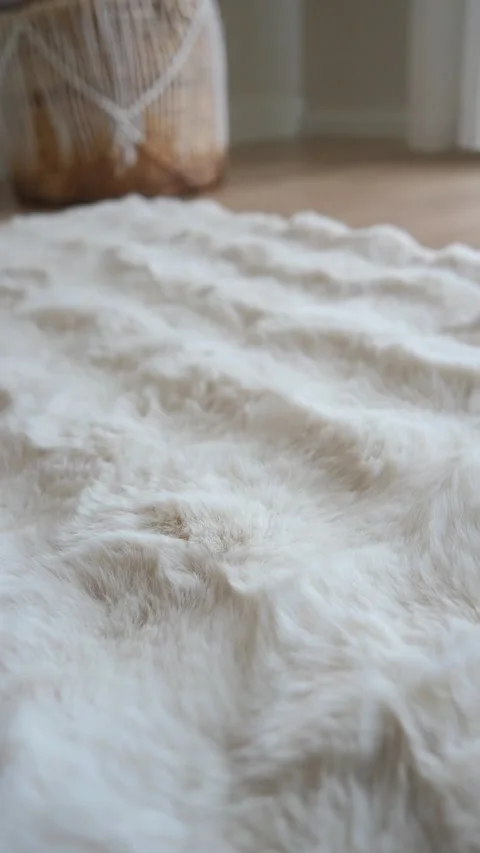 Soft white carpet on the floor in cozy room setting Stock Footage 331620079