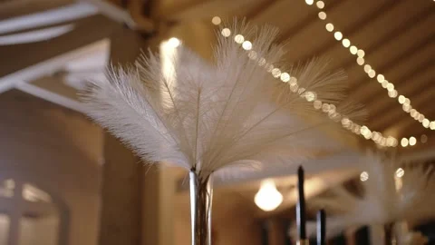 Soft white feather centerpiece glowing with warm string lights Stock Footage 316726866
