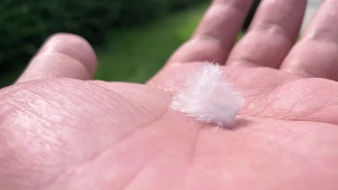 Soft white feathers on a close-up black background The concept of softness and f Stock Footage 253463524