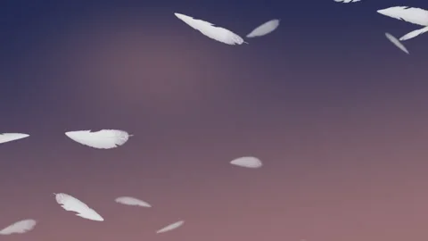 Soft white feathers drifting down on a dusk sky gradient, calm 4K loop Видео 347922676