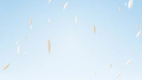 Soft white feathers floating down on heavenly light blue 库存影片 348619753