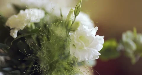 Soft White Flowers in Gentle Close-Up Видео 336470973