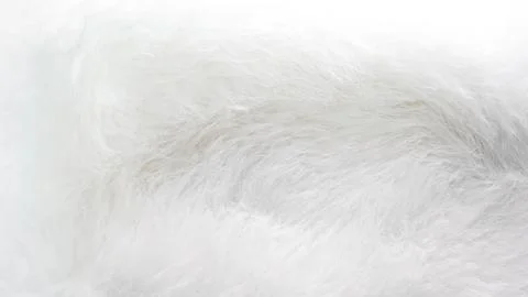 Soft white fur texture background for design and creative projects Stock Photos