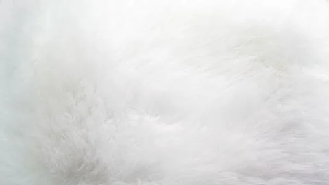 Soft white fur texture background for design and creative projects Stock Photos
