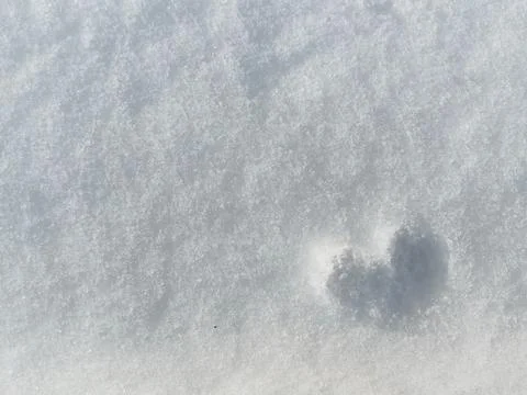 Soft white snow covers the ground, with a subtle heart shape imprint visible Stock Photos