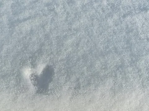 Soft white snow covers the ground, with a subtle heart shape imprint visible Stock Photos