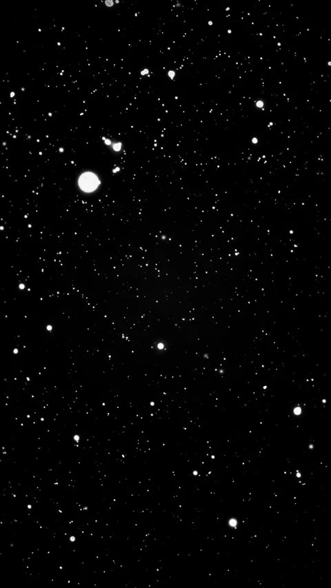 Soft white snow drifts down during a dark winter night. Vidéo 331531116
