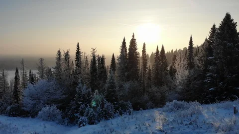 Soft white snow falls on tree branches Video stock 100190412