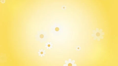 Soft Yellow Daisy Flowers Falling Background Animation Stock Footage 346660604