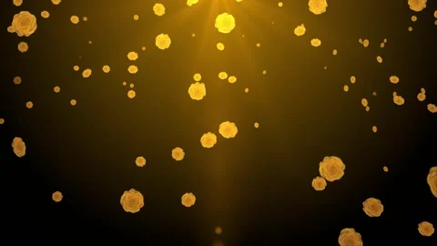 Soft yellow rose background 3d animation coming down with sunshine. Stock Footage 293004592