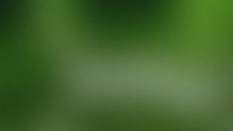 Softly Blurred Green Gradient Background With Subtle Grain Texture abstract Stock Illustration