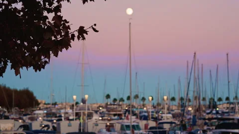 Softly blurred view of a marina at blue hour, with bokeh lights and boat masts Stock Footage 322677865