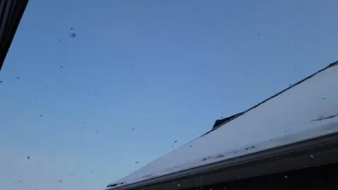 Softly Falling Snow Video stock 197017153