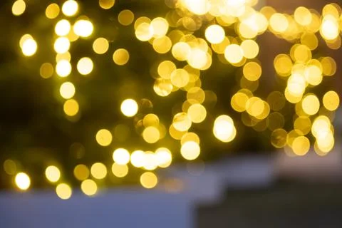 A softly lit path lined with Christmas trees adorned with fairy lights. Stock Photos