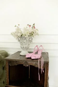 In a softly lit room, a pair of charming pink shoes with elegant ribbons sit  Stock Photos
