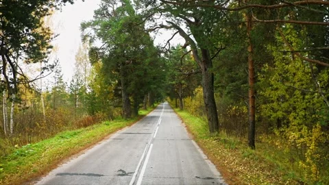 Softly Winter Whispers, First Snow Adorns a Rustic Autumn-Clad Roadway. Aerial Stock Footage 257784811