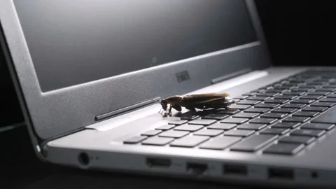 Software bug metaphor, cockroach walks on a laptop keyboard, macro photo with Vídeos de archivo 105698344