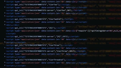 Software code animation. website program background. Stock Footage 224284173