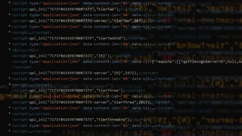 Software code animation. website program background. Stock Footage 224285323