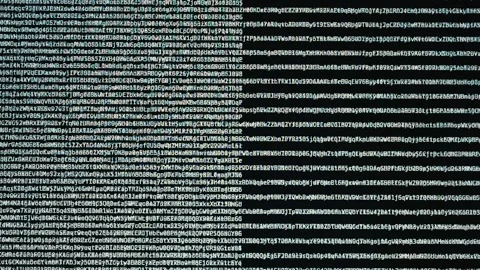 Software Code Displayed as Scrolling Lines of Text on Computer Screen Vidéo 331164830