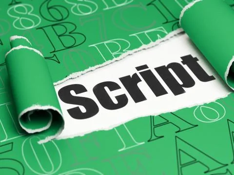 Software concept: black text Script under the piece of  torn paper Stock-Illustration