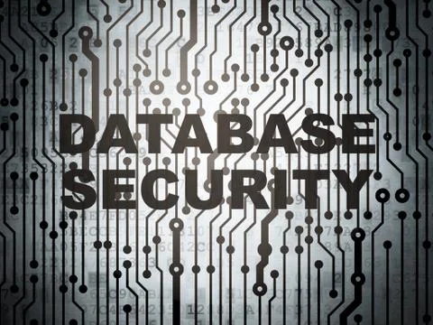Software concept: circuit board with Database Security 스톡 일러스트