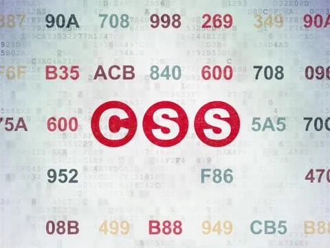 Software concept: Css on Digital Data Paper background 库存插图