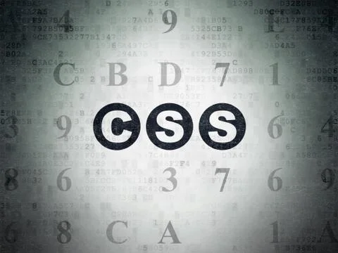 Software concept: Css on Digital Paper background 库存插图