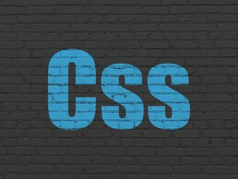 Software concept: Css on wall background 스톡 일러스트