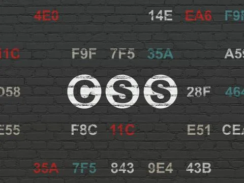 Software concept: Css on wall background 库存插图