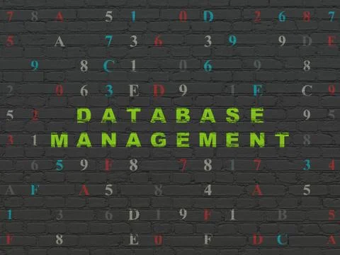 Software concept: Database Management on wall background Stockillustratie