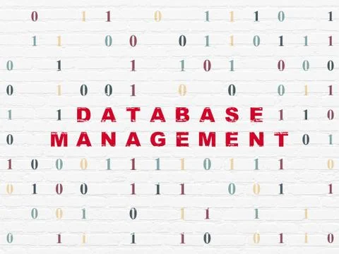 Software concept: Database Management on wall background 库存插图