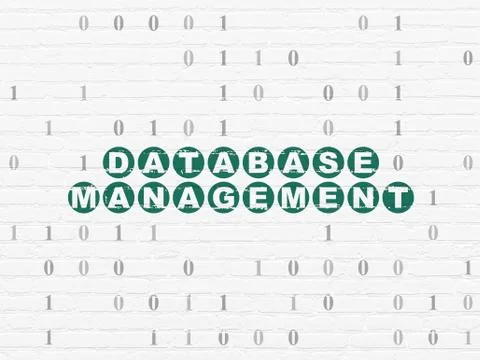 Software concept: Database Management on wall background Illustrazione stock