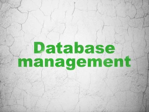 Software concept: Database Management on wall background 库存插图