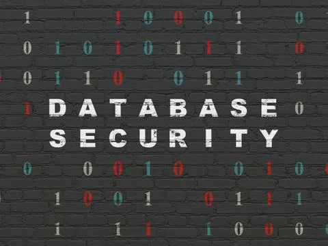 Software concept: Database Security on wall background 스톡 일러스트