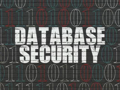 Software concept: Database Security on wall background 스톡 일러스트