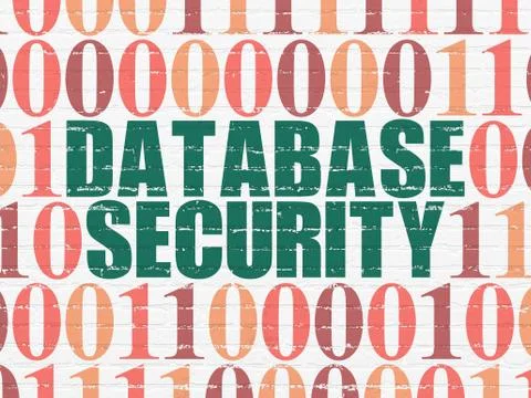 Software concept: Database Security on wall background 库存插图