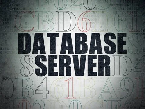 Software concept: Database Server on Digital Data Paper background 库存插图