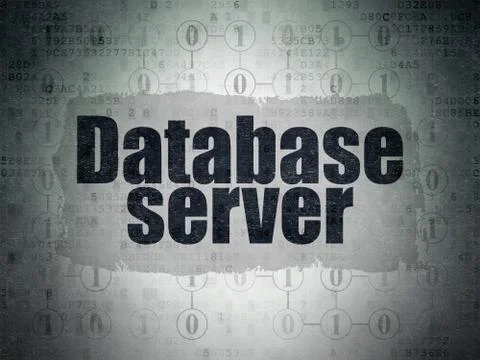 Software concept: Database Server on Digital Data Paper background 库存插图