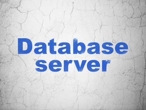 Software concept: Database Server on wall background Stockillustratie