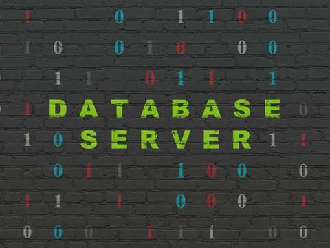 Software concept: Database Server on wall background Illustrazione stock