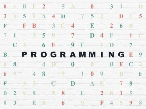 Software concept: Programming on wall background Illustrazione stock