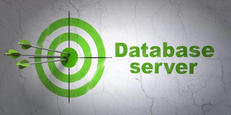 Software concept: target and Database Server on wall background Stock Illustration