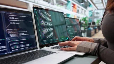 Software Developer Coding In Interactive Web IDE Workspace. Stock Footage 344713501