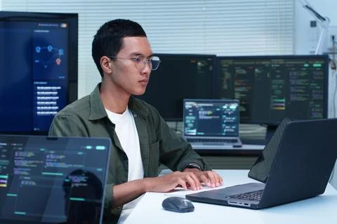 Software Developer Coding with Multiple Monitors Fotos Stock