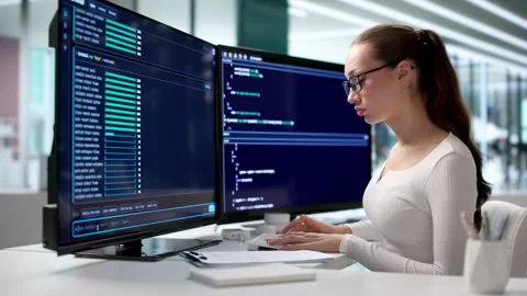 Software Developer Coding In Online Terminal Environment. Stockbeeldmateriaal 343888814