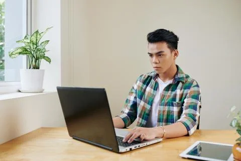 Software developer concentrated on work Foto stock