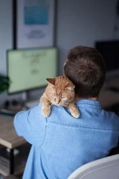 Software developer remotely working from home with cat sitting on his back Stock Photos