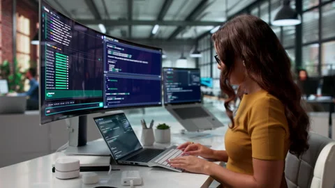 Software Developer Using A Cloud-based IDE Видео 345861722