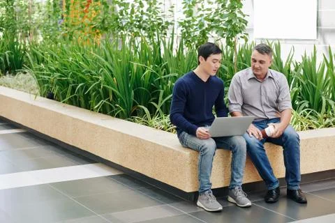 Software developers discussing project Stock Photos